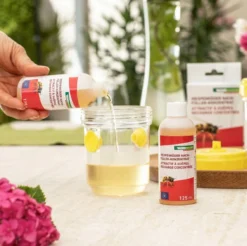 Windhager Wespenköder Nachfüllpack -Gruenraumz Verkäufe windhager wespenkoeder nachfuellpack 1 pkg 1120478 de