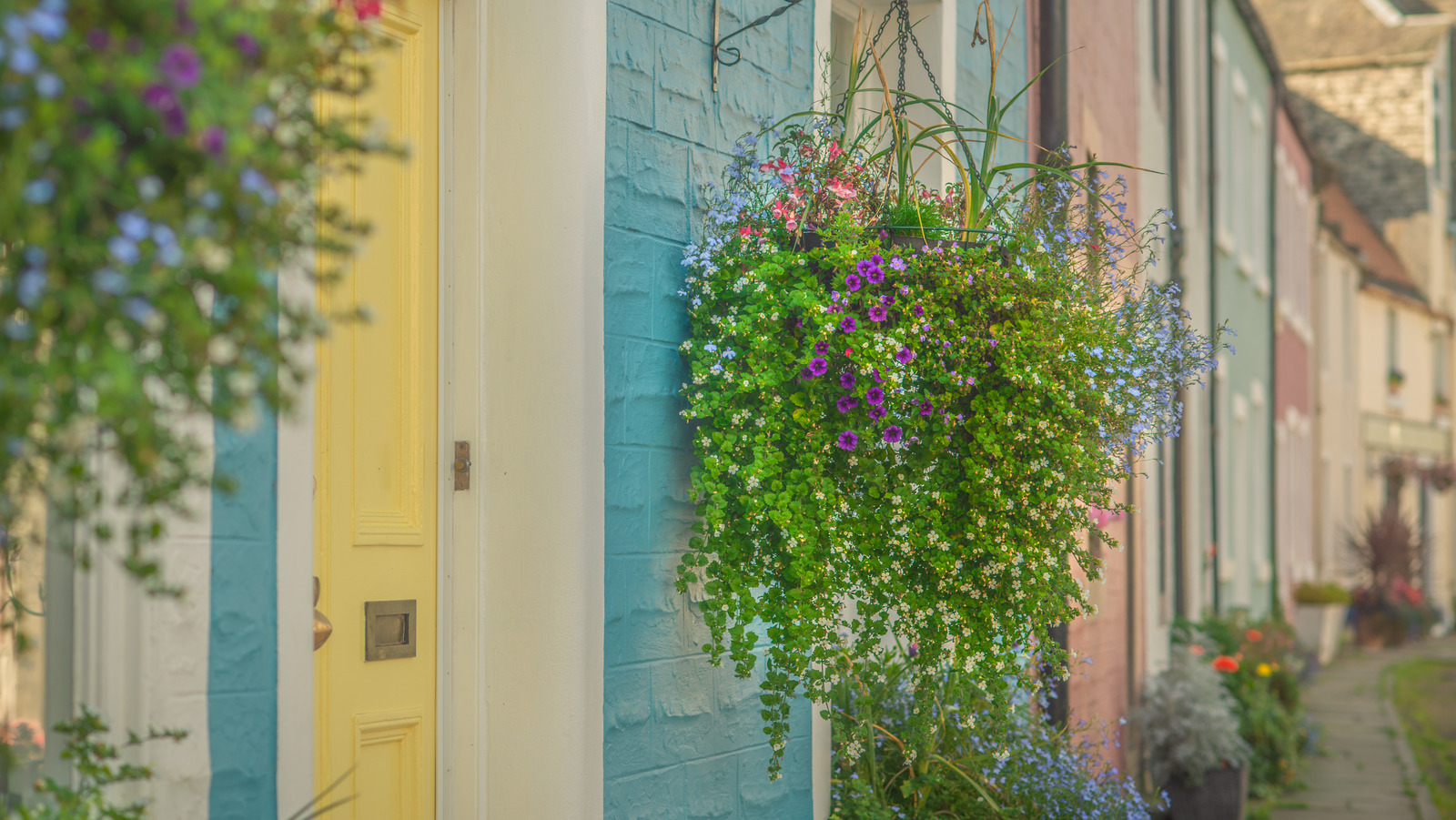 Gruenraumz Verkäufe -Gruenraumz Verkäufe l intro 1659960791